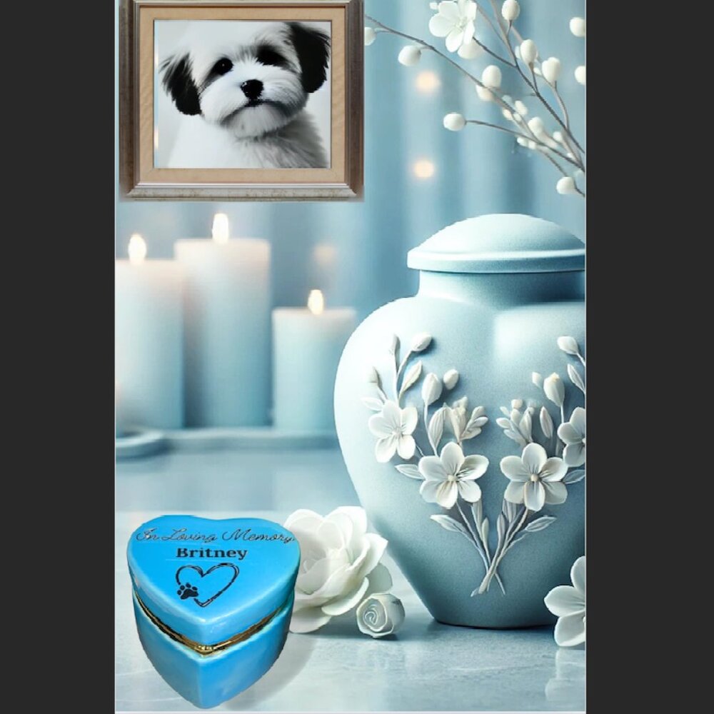 Heart-Shaped Pet Memorial Keepsake Box – Personalized